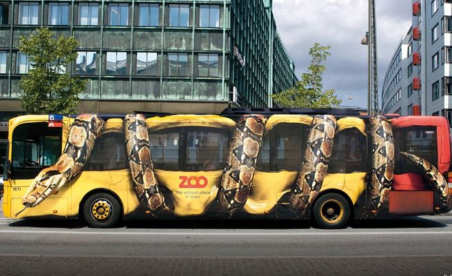 Zoo